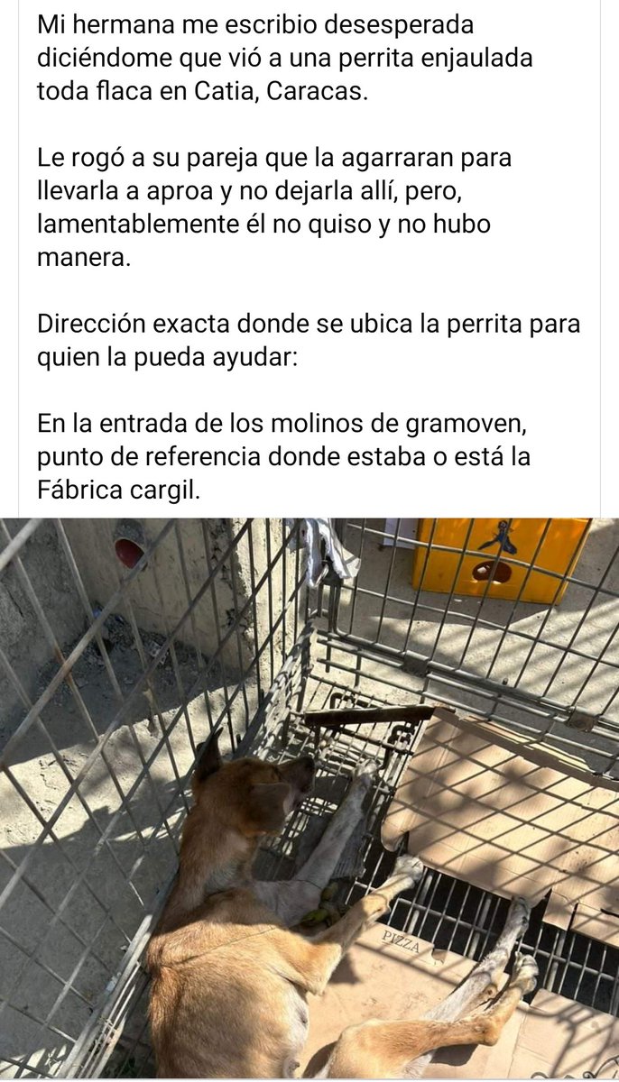 PerroUsuario's tweet photo. Caso de terceros. Necesita AYUDAAAAA URGENTE, Caracas https://t.co/9KMN6so5O1