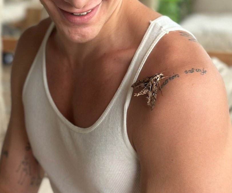 Pabllo Vittar tweet media