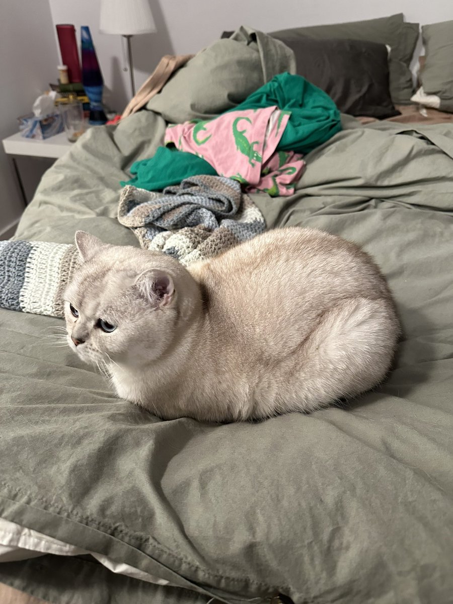 keadymorgan's tweet photo. i present: the perfect loaf https://t.co/EnIUX1tyzg