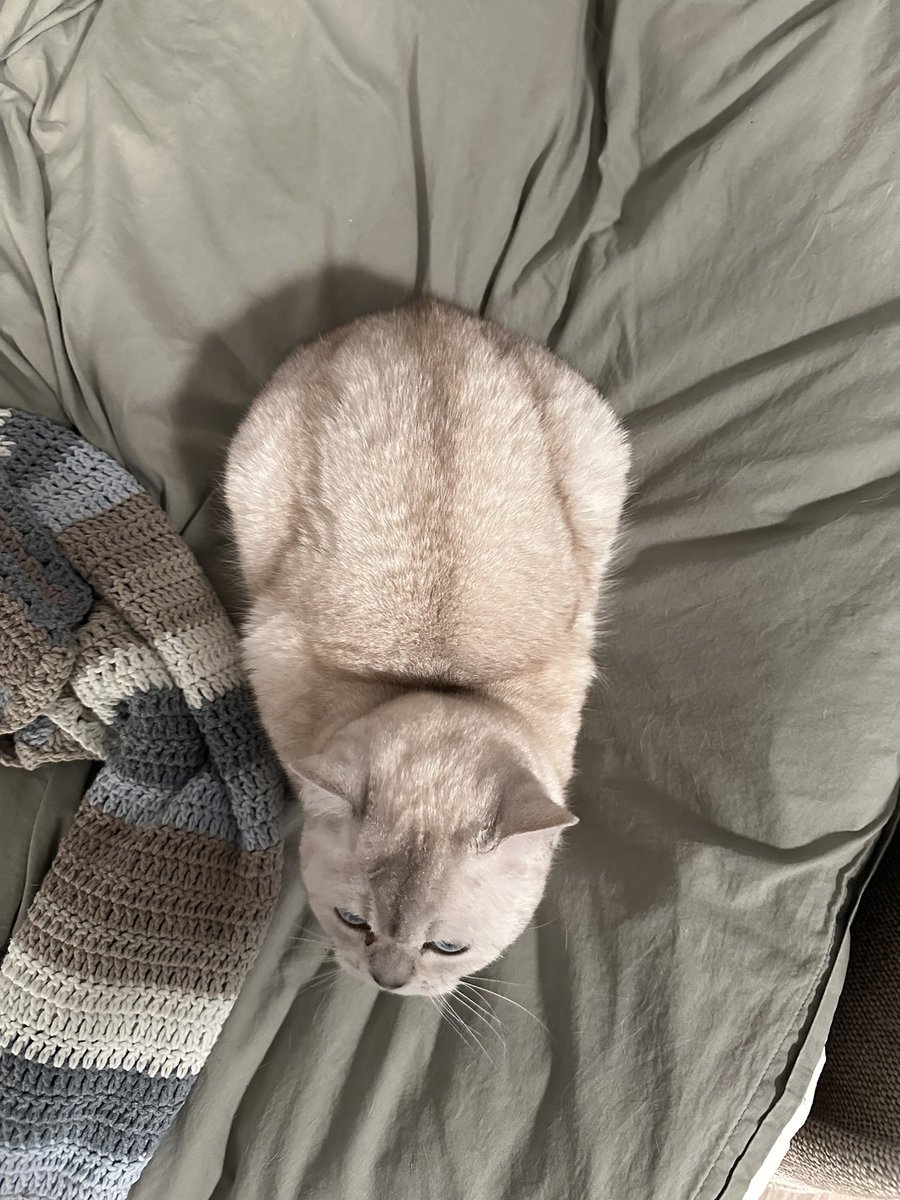 keadymorgan's tweet photo. i present: the perfect loaf https://t.co/EnIUX1tyzg