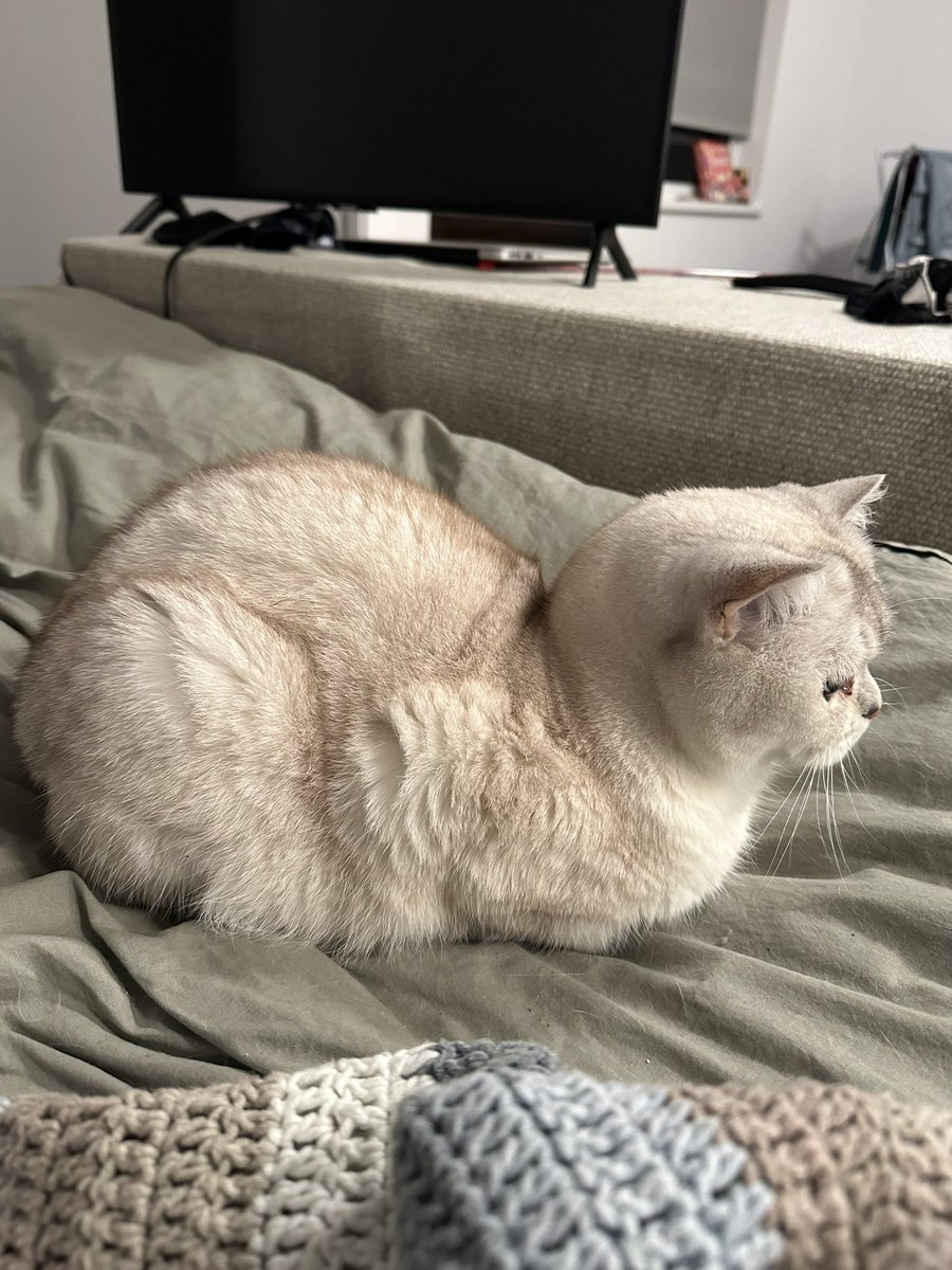 keadymorgan's tweet photo. i present: the perfect loaf https://t.co/EnIUX1tyzg
