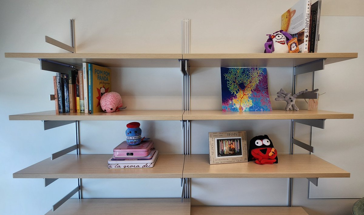 Heather Snell, PhD tweet media