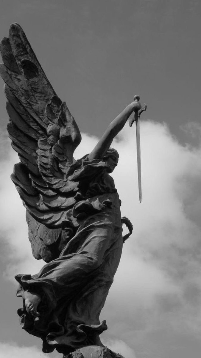 TraderCluti tweet media