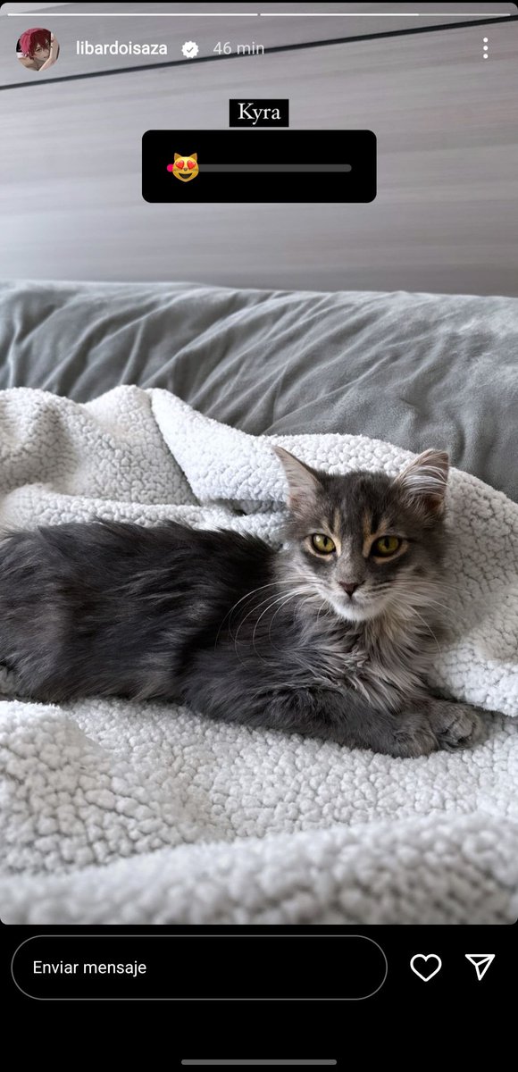 Libxrules's tweet image. La nueva integrante de la familia 😍 Kyra