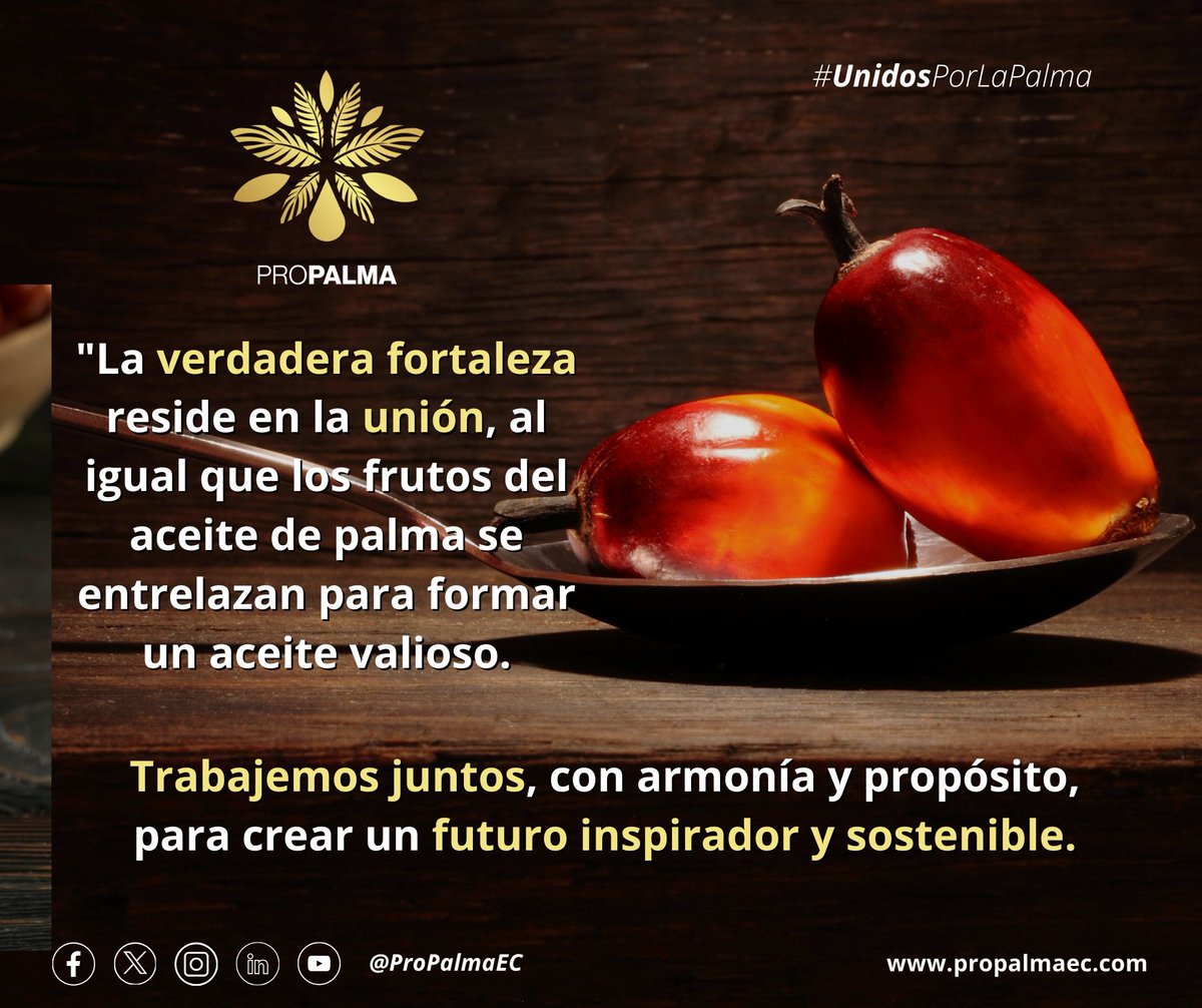 ProPalmaEc's tweet photo. ¡𝑳𝒐𝒔 𝒇𝒓𝒖𝒕𝒐𝒔 𝒅𝒆 𝒑𝒂𝒍𝒎𝒂 𝒊𝒏𝒔𝒑𝒊𝒓𝒂𝒏 𝒏𝒖𝒆𝒔𝒕𝒓𝒂 𝒖𝒏𝒊𝒐́𝒏 𝒉𝒂𝒄𝒊𝒂 𝒖𝒏 𝒇𝒖𝒕𝒖𝒓𝒐 𝒔𝒐𝒔𝒕𝒆𝒏𝒊𝒃𝒍𝒆!
🌴🙌🏼🇪🇨💪🏼

#UnidosPorLaPalma
#UnidosSomosMásProductivos https://t.co/yKE4hiuw8G