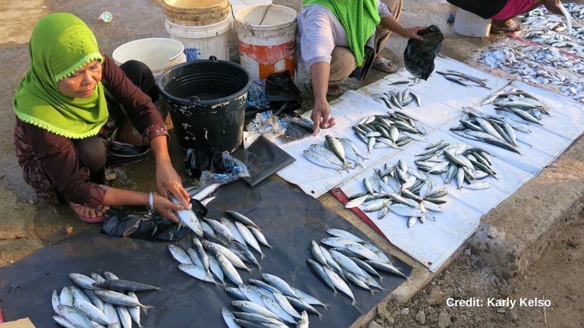 🌊🍽️ The benefits of blue foods extend beyond our dinner plates. They help alleviate poverty, empower coastal communities and preserve cultural traditions. By embracing sustainable aquaculture and fisheries, we can enhance food resilience and protect our oceans.