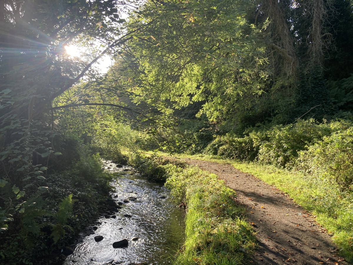 Happy New Year Folks! It’s our first monthly activity morning along the Burn tomorrow on Sat 13th Jan , meet 10am at the FBBVP Bothy, 26B Gilmerton Dykes Street - lots of things to do - we’ll do a litter pick along the burn towards the Burdiehouse Drive plus some paths to repair