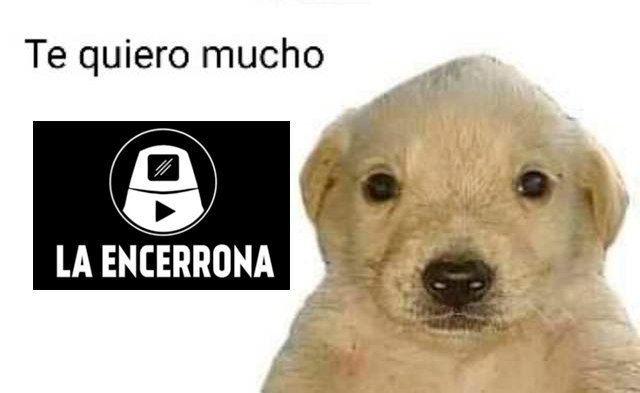 por mucho tiempo he admirado el trabajo de <a href="/ocram/"> Marco Sifuentes 🪁</a>, <a href="/jsudaka/">💬 Jonathan Castro</a>, <a href="/rominabadoino/">kleps (3 a.m.)</a> y <a href="/ErnestoCabralM/">Ernesto Cabral</a>. ahora es un honor paraa mí ser parte de su equipo.

¡larga vida a #LaEncerrona1000! 🫶