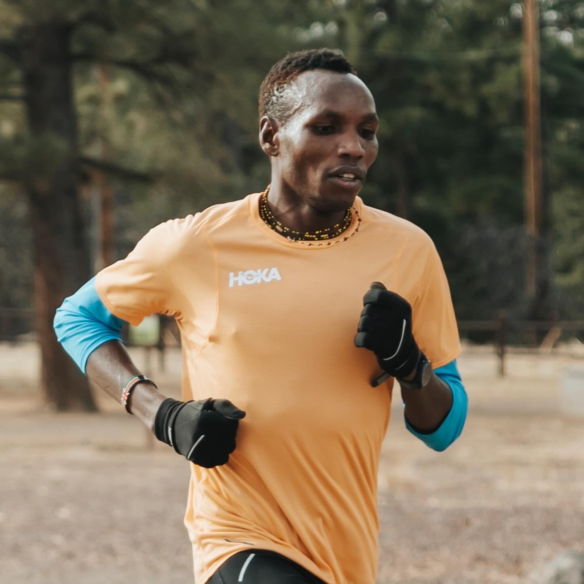 Full Aramco Houston Half Preview in today's newsletter. Mercy Chelangat against an awesome women's field. Alex Masai's debut and Wesley's shot at revenge after a second-place finish in 2023 in the men's race. Read more here: bit.ly/47xSfab