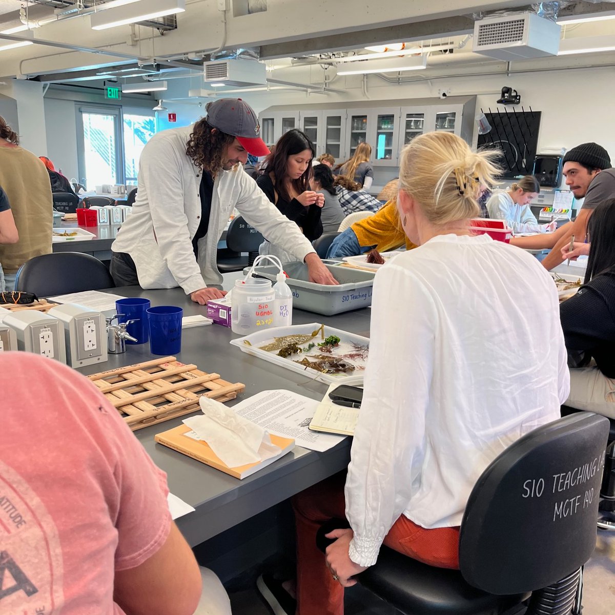 Happy #Phycologyfriday from the largest #phycology class I have ever taught! 63 students. Wish me luck! #SIO183 #seaweeds #filaments #algae