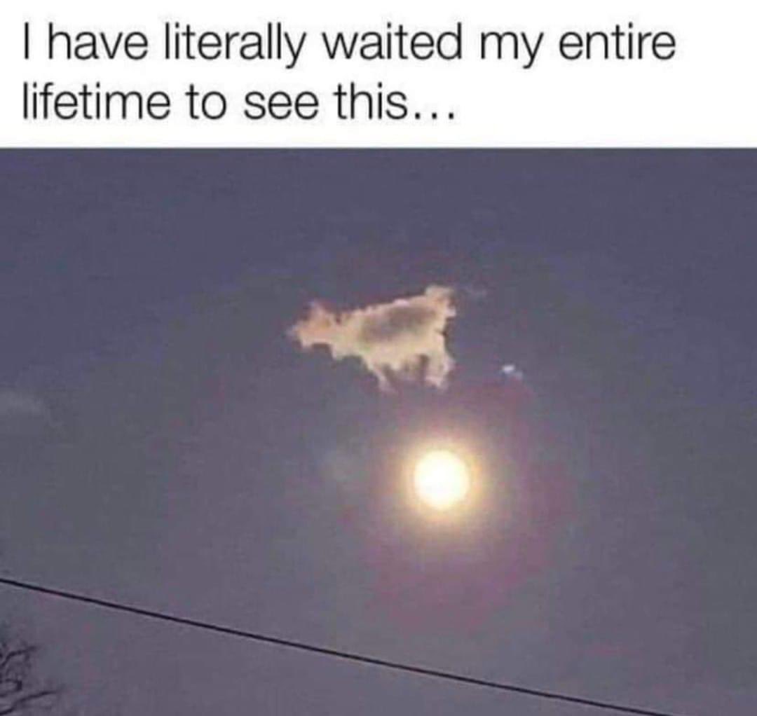 Geoffrey Spence tweet media