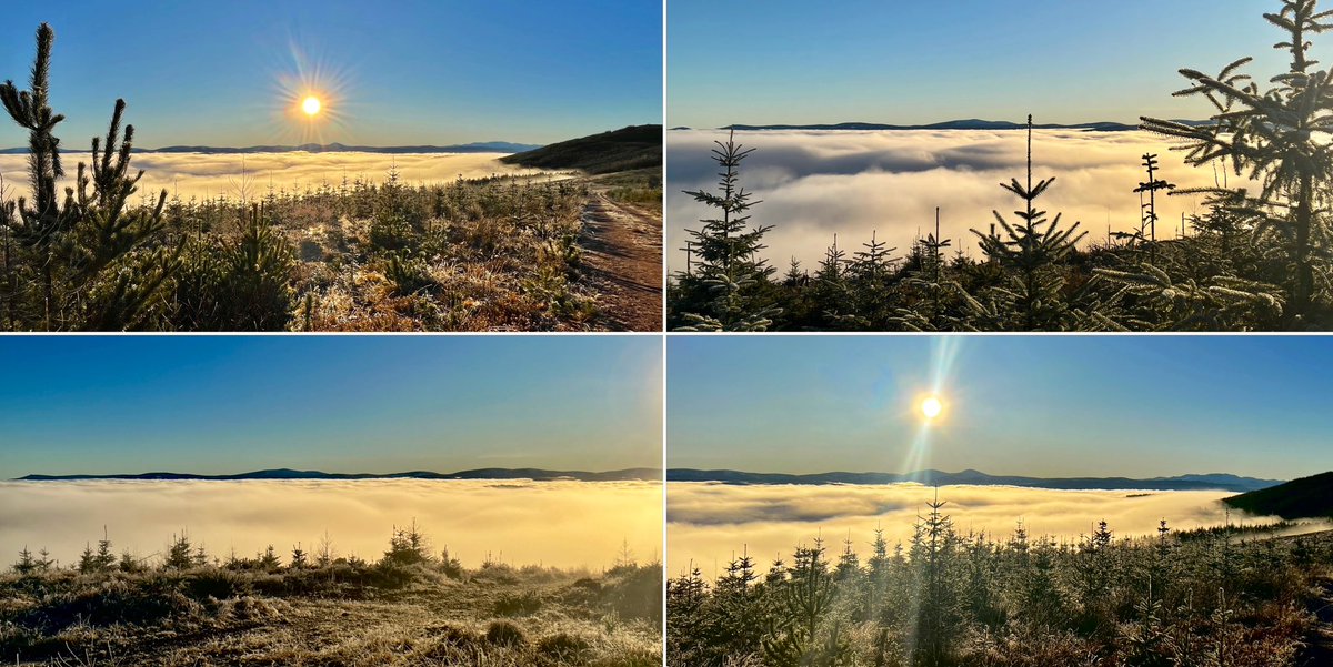 TheMackWalks's tweet photo. Today, Corse💙 #walking #corse #corsehill #lumphanan #aberdeenshire #abovetheclouds #temperatureinversion #walkingaberdeenshire https://t.co/iP8NfY5bRo
