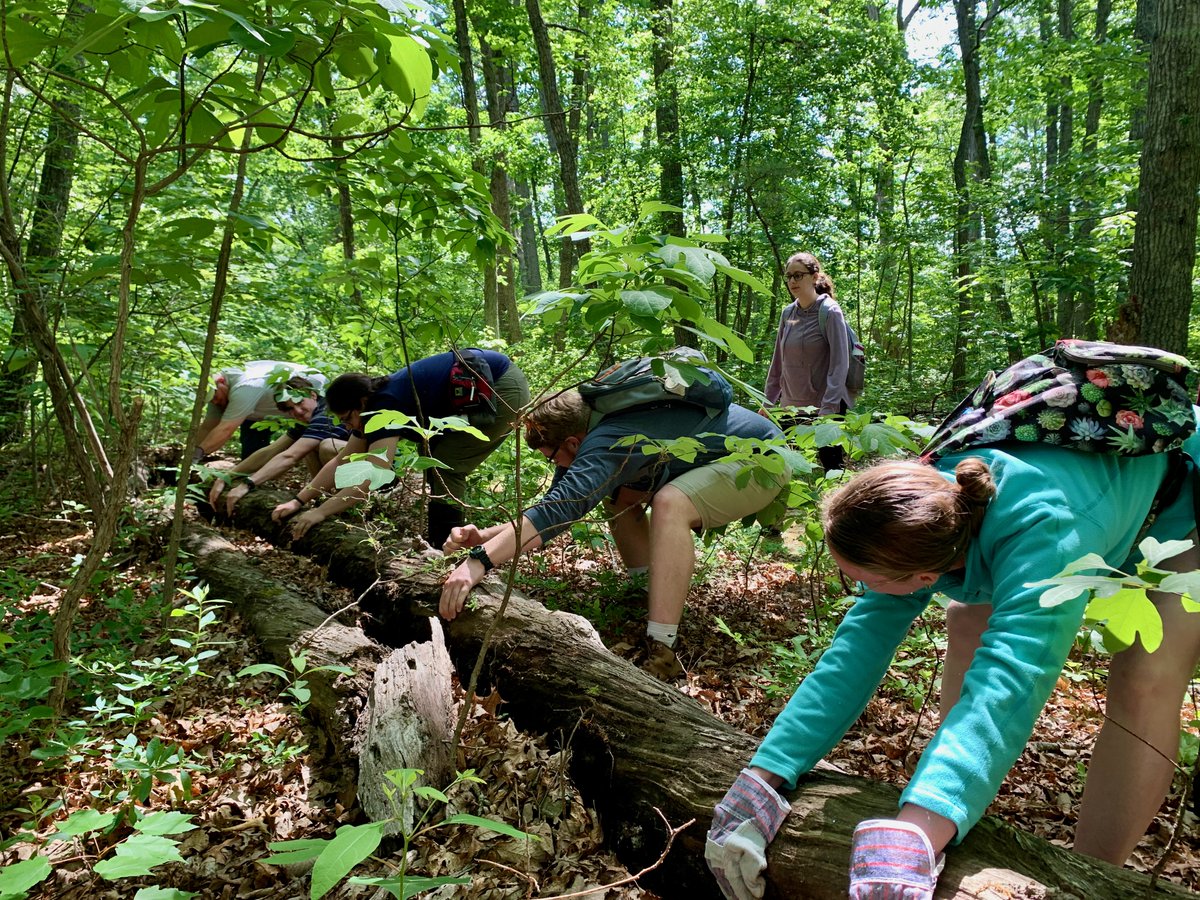 Attention students- check out our summer 2024 course offerings! Opportunities for 3-week, field-based classes in plant conservation, herpetology, fish biology, &amp; wildlife disease ecology. Come spend a few weeks with us at MLBS this summer! mlbs.virginia.edu/summercourses