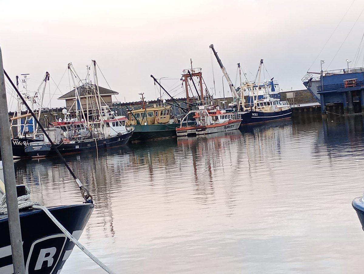 LuytGroep's tweet photo. De #visserijhaven met een bonte parade van #schepen die elk hun weg naar #DenOever vinden.

In #dok #LUYT:
#zeilschip 'Banjaard' #verfwerk &amp; #keuring

Aan werkkade:
WR-2 #hermotorisering
NOR 214 #lierreparatie
Surveyboot Deep Volans #onderhoud
HK-86 &amp; HK-81 #dokbeurt &amp; onderhoud https://t.co/BIUkynIIVe