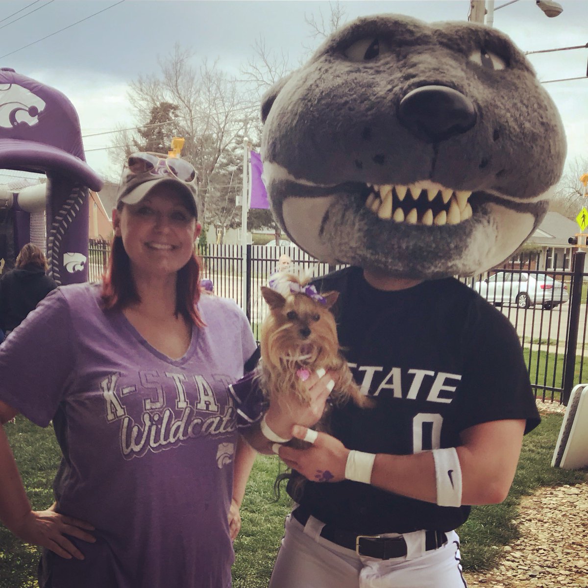kstatevangirl's tweet photo. Since a girl, she was named Manhattan Mattie after the happiest place on earth and home of the K-State Wildcats!! RIP baby girl. I miss you so much. #EPAW https://t.co/0exDd2w9nE