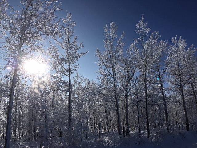 We are experiencing issues with the distribution system in our Tap 3 area, which is everything to the west of and including HWY 40. Our staff are out troubleshooting and will be working diligently to ensure any system failures are restored ASAP.
We will  update you with info ASAP