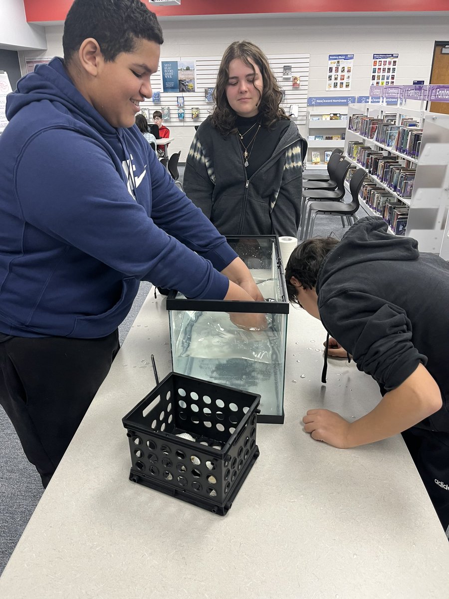 omalley_tracy's tweet photo. This week our 8th grade science classes participated in some self guided exploration stations in the library as part of their Sound Waves unit. @CSJHWildcats @D15Schools #LITin15 #ProudToBe15 https://t.co/LEx8WEp0W1