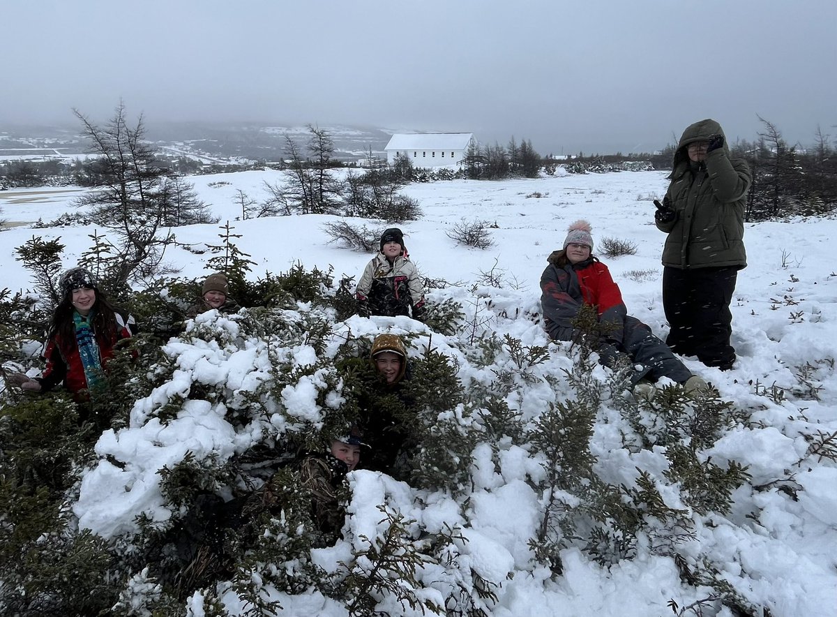 BelbenNerisa's tweet image. ❄️Snow much fun today ❄️#funoutdoors @NLSchoolsCA @LSASharks