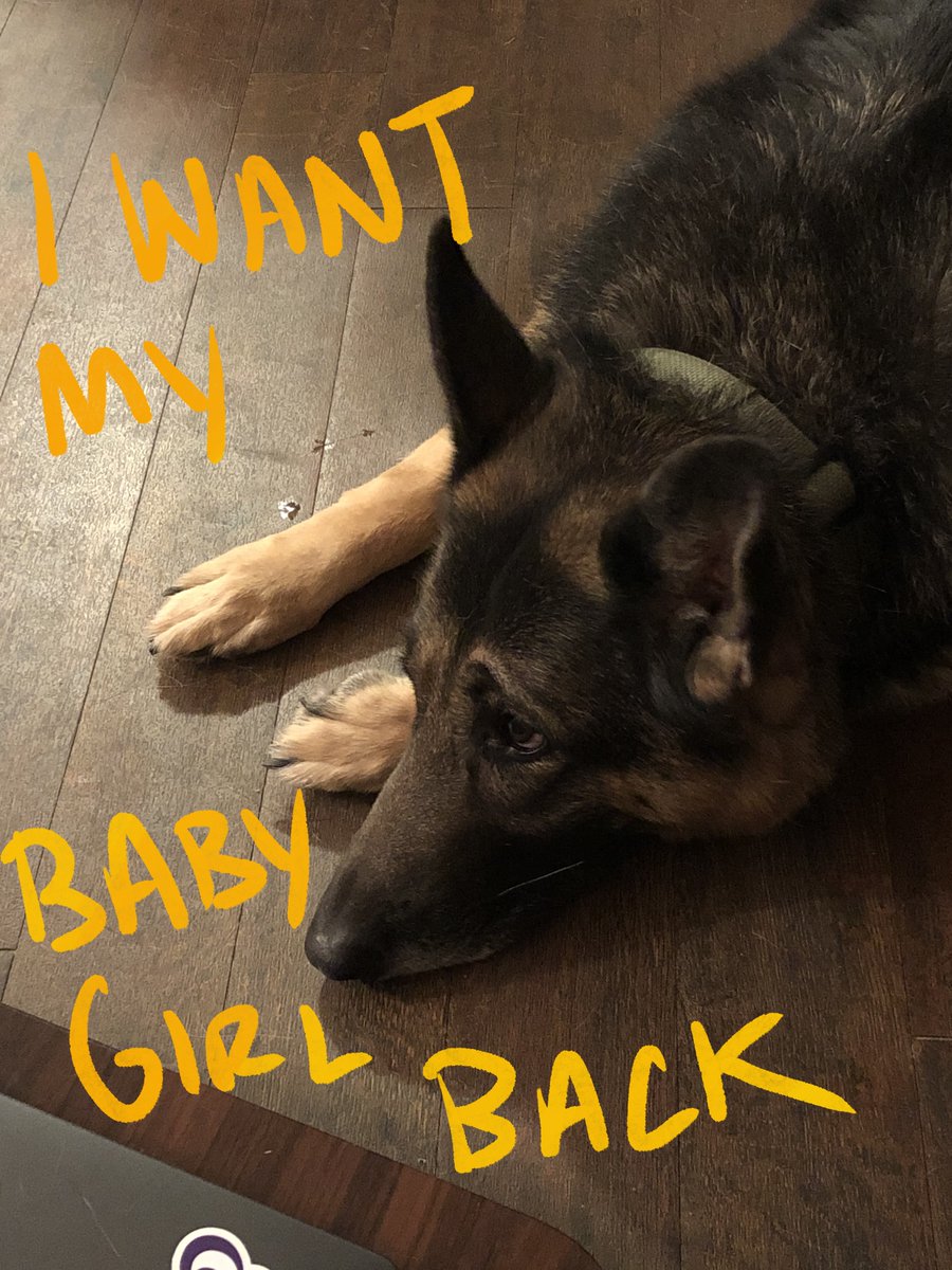 Will I ever be able to listen to "A Wonderful Life" by <a href="/Bully/">Bully</a> without feeling like I’ve been punched in the gut? I kind of hope not.