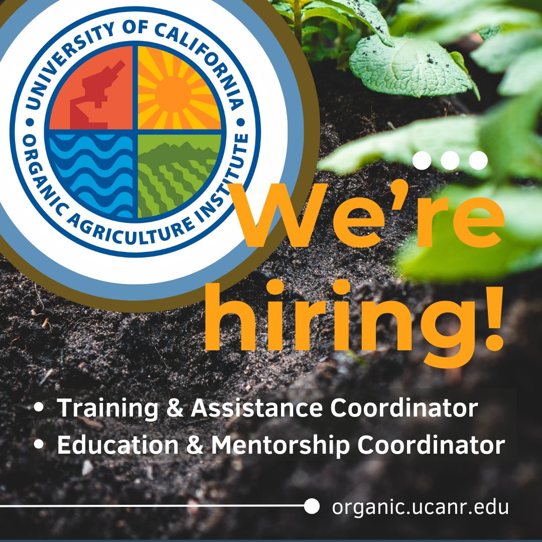UC Organic Agriculture Institute (@uc_organic) on Twitter photo Join our growing team at the UC Organic Agriculture Institute! We're hiring for various positions. Come be a part of our mission to promote research and extension in organic agriculture. Apply now! <a href="/ucanr/">Ag&Natural Resources</a> ucanr.edu/sites/organic/… Join our growing team at the UC Organic Agriculture Institute! We're hiring for various positions. Come be a part of our mission to promote research and extension in organic agriculture. Apply now! <a href="/ucanr/">Ag&Natural Resources</a> ucanr.edu/sites/organic/…