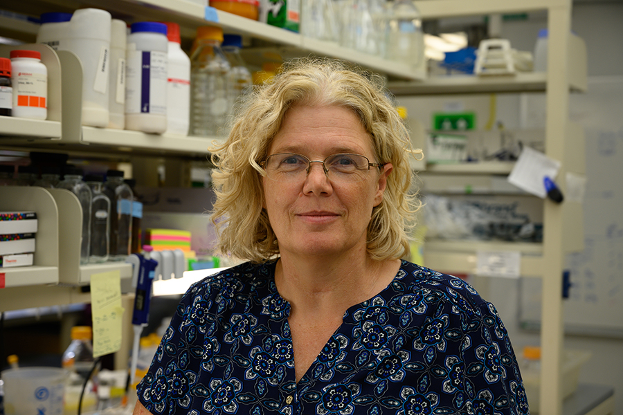 CMU Mellon College of Science (@cmuscience) on Twitter photo .<a href="/CMU_Bio/">CMU Biological Sciences</a> Professor Veronica Hinman was awarded the International Kowalevsky Medal for her work in evolutionary and developmental biology.
cmu.edu/mcs/news-event… .<a href="/CMU_Bio/">CMU Biological Sciences</a> Professor Veronica Hinman was awarded the International Kowalevsky Medal for her work in evolutionary and developmental biology.
cmu.edu/mcs/news-event…