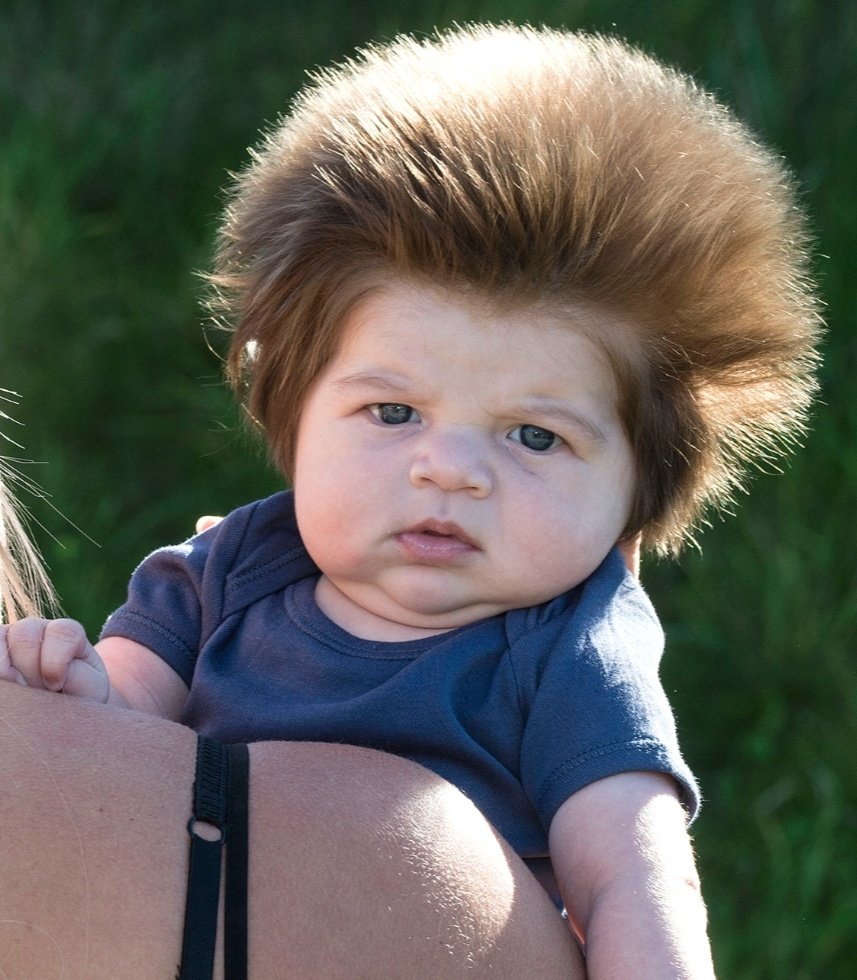 Lempty's tweet image. NO COMMENT.