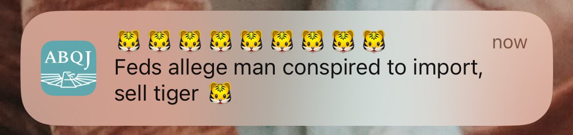 alymaybe's tweet photo. So many emoji in this push notification I thought it was BuzzFeed at first #JusticeforDuke https://t.co/Q5fRLzo6KS