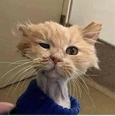 When you wake up after "perfect week" and try to figure out what day it is  <a href="/Amymitch151/">Amymitch15</a> <a href="/CharlyGill29/">Charly Gill</a> <a href="/RussNightingale/">Russell Nightingale</a> @StrayRachael <a href="/KirkhamRoseanne/">roseanne kirkham</a>