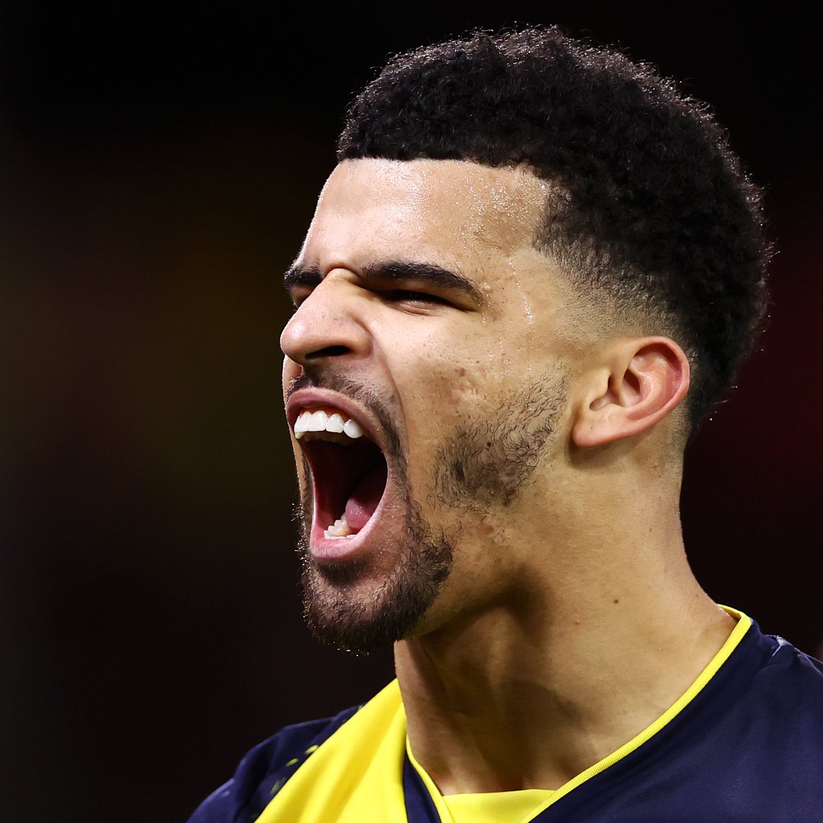 🏆 ● 𝗖𝗼𝗻𝗴𝗿𝗮𝘁𝘂𝗹𝗮𝘁𝗶𝗼𝗻𝘀 𝗗𝗼𝗺! 😎 🔥 Premier League'de Aralık ayının oyuncusu, tahmin ettiğiniz üzere Dominic Solanke seçildi. Dom Dom Kursunu Değdi! 👻 #AFCB • #TurkishCherries 🍒