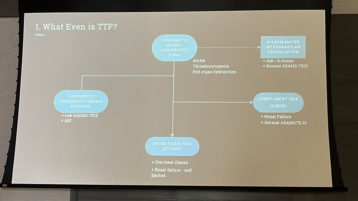Dr Dee Sanchez tweet media