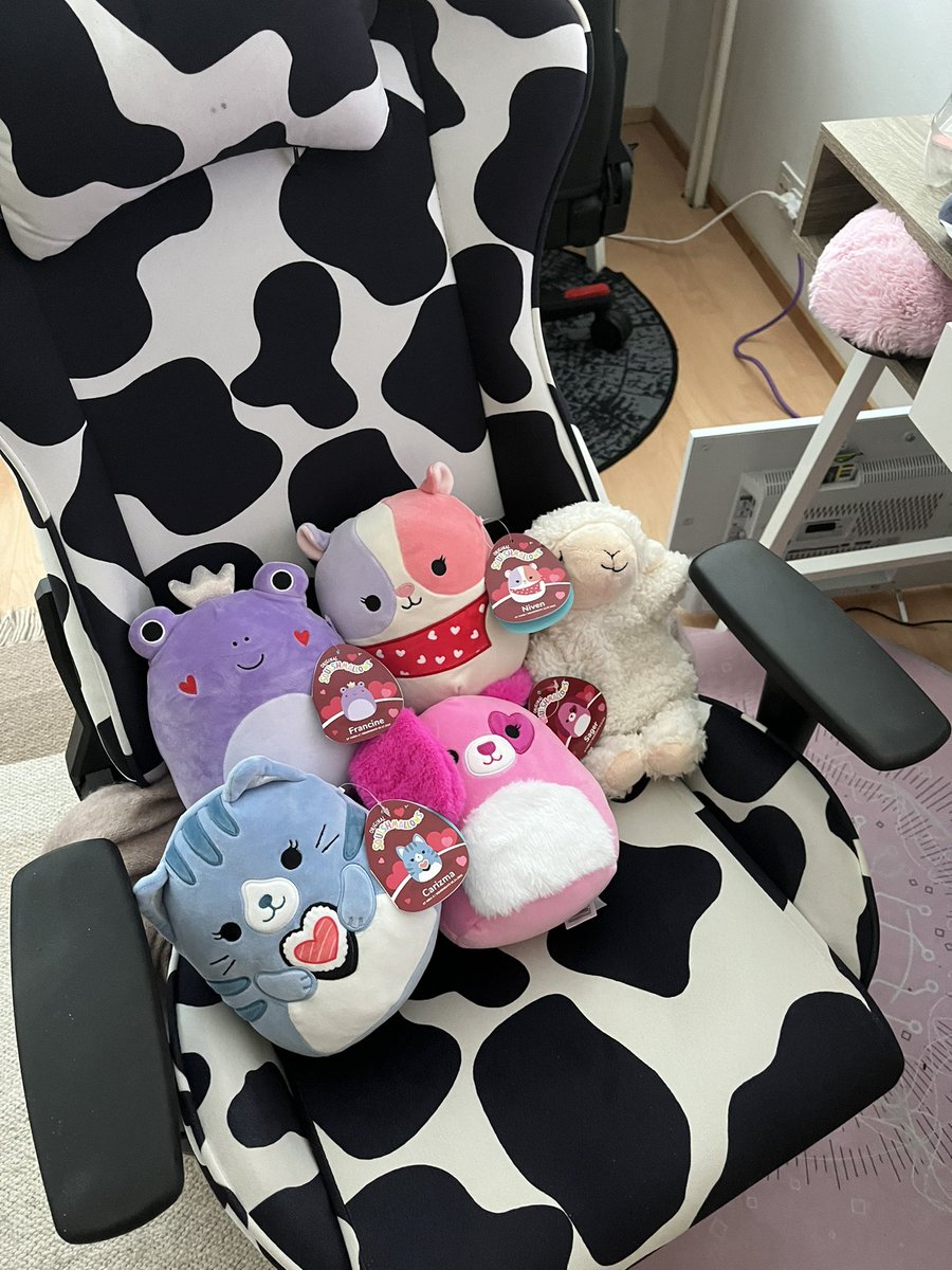 jjessikae's tweet photo. he asked me to meet him at a restaurant, ordered us coffee, got me 4 valentines squismallows and one of those heated stuffies for periods and asked me to be his valentines, guys remember if he wanted to he would https://t.co/NyElGzFwWO