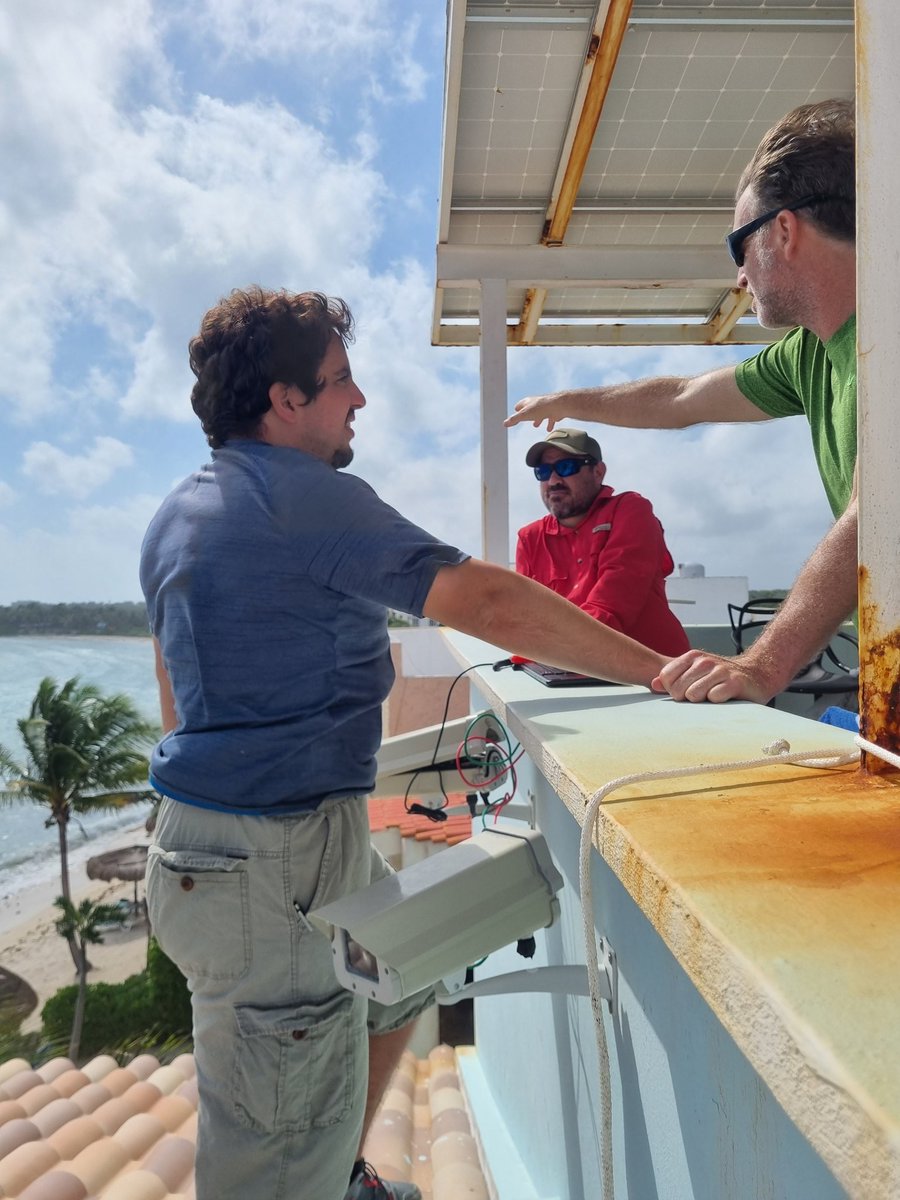 Today we have been installing fixed automated cameras to monitor #sargassum influxes in #Akumal #Mexico, supported by @ecosurmx. @SARTRAC1 @UoSGeogEnv @LIPC_UNAM