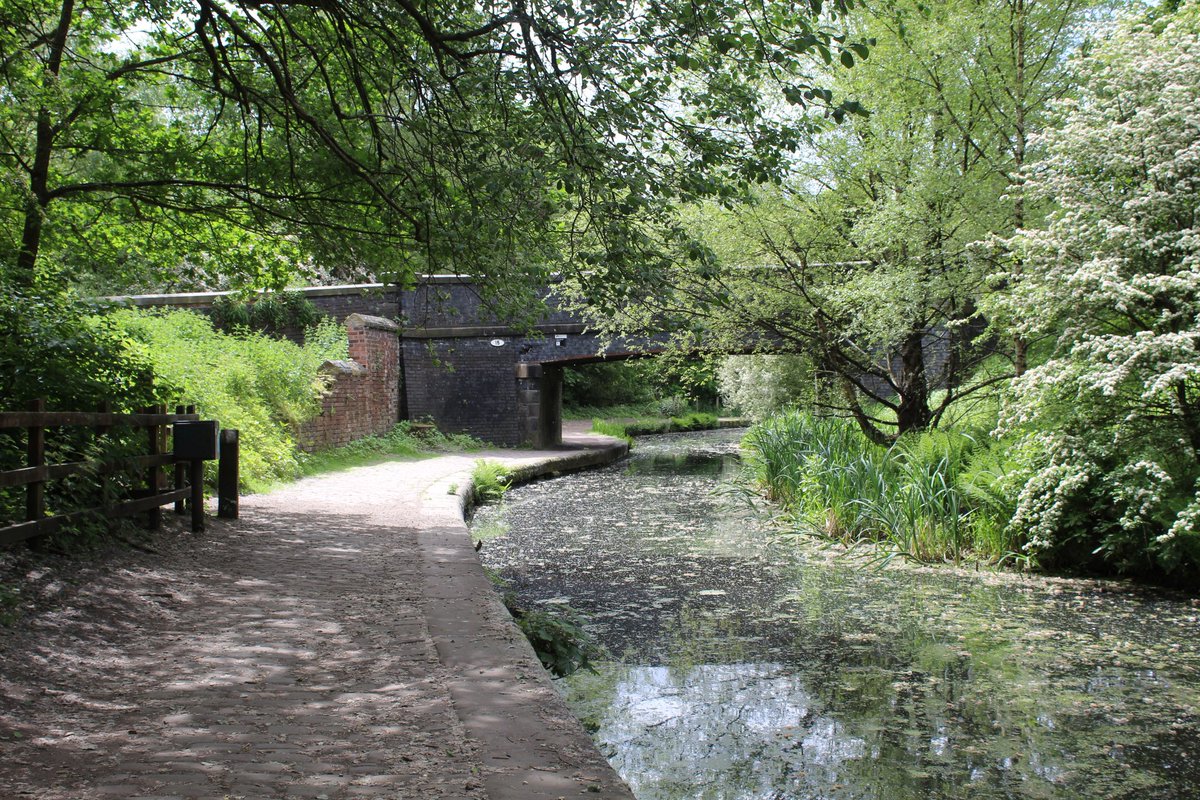 BridgesCanal's tweet photo. Mount Sion Bridge No 16 to Ladyshore Bridge No 15 .. Manchester Bolton &amp; Bury Canal #Radcliffe #LittleLever #Lancashire #KeepCanalsAlive https://t.co/XKW03bsuDW