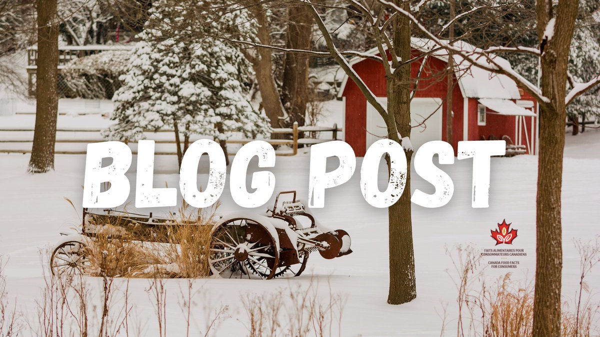 Embark on a journey into 2024 with us, exploring challenges faced in 2023 and discovering innovative ways to navigate food insecurity, rising costs, and changing consumer behaviours—stay tuned for essential #FoodFacts and savvy tips to keep your pantry full and your wallet happy