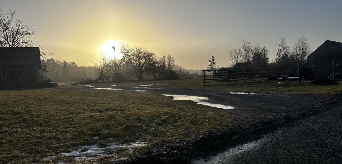 "Drip you magic eaves, and sluice the grasses
With your silvered coins of wet
I am going for a walk" - Deborah Banks, Spring Arrival, 2021

A reminder to all in need of space to roam, Sherbrooke Village's grounds are open for you to stroll during these cold months. Happy New Year