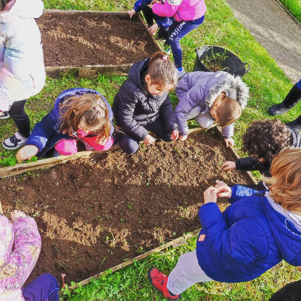 Después de las vacaciones de navidad nuestro huerto necesitaba un gran repaso y los alumnos y alumnas de #6EI estamos encantados de disfrutar de el. Contamos con la ayuda de la Abuela  Ana que nos ayudó muchísimo. Gracias Ana por tu ayuda!!🥰
#MaristasEstasEnCasa #HuertoEscolar
