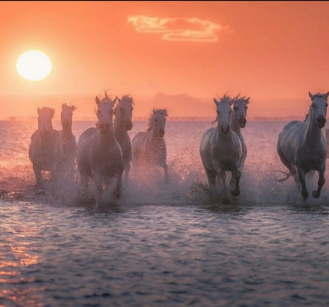 #TM_RUBY
#TEAMSTALLION
@ruby2015xo
<a href="/italianostyle2/">Frankie D....TEAMSTALLION</a>
<a href="/MarEthr/">👉 Mark 28K 😜👇</a>
<a href="/JIMENAC__/">🌸JimenaC__🌸</a>
<a href="/R3_Adv/">JarodKOPI🇮🇩</a>
<a href="/nuvisionquestt3/">🦅NU_VISION_QUEST_TYPE3🏹</a>
<a href="/MarthaCandia21/">🌼MARTHA CAN🌼</a>
<a href="/nuvisionquestt2/">🦅Nu_Vision_Quest_Type2🏹</a>
<a href="/moni_dollnature/">🌸 Mónica 🌸</a>
<a href="/tnmuda/">Tn Muda</a>
<a href="/Patris_7/">Patito💚🏉</a>
<a href="/Nathyan1997/">Nathalia🚩🚩</a>
<a href="/monicampon/">Monica 🌼</a>
<a href="/BrettMGWV/">brett</a>
<a href="/MarcelaErcia/">🕉MARCE🐉⚖ #MarceTeAyuda🔮#JesúsCambióMiVida✝</a>
<a href="/Nature_moni/">🪻 Mónica 🪻</a>
<a href="/doc_mazz/">Doc Mazz-Frankie</a>
<a href="/lumpie125/">lumpie125</a>
<a href="/Siogo61/">@siogo61</a> <a href="/bluea125/">BlueA125</a>
<a href="/MARTHA_CAN2/">MARTHA 👑</a>