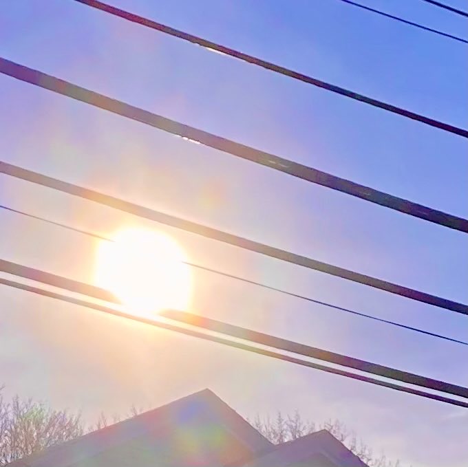 Allone34789's tweet photo. #NaturePhotography
#Naturephotography
#photography #Photography 
#nature #naturelovers
#sky #telephonewire
#outside
#sun https://t.co/Z2YbvQJpAn