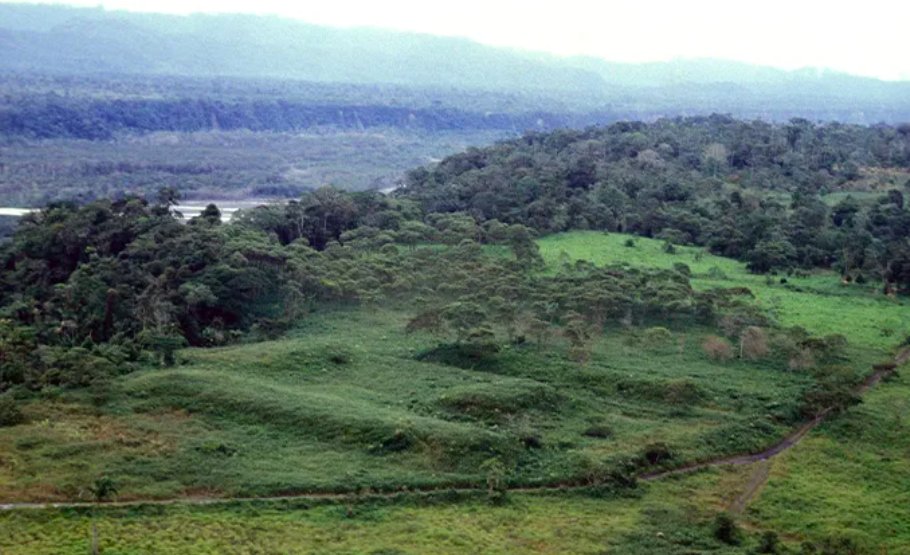 lahistoriaec's tweet photo. Civilización perdida en la Amazonía ecuatoriana. Una enorme ciudad precolombina diseñada hace más de 2.000 años y conformada por más de 6.000 estructuras conectadas por un sistema de carreteras que tenía zanjas de ambos lados que hacían de drenaje, fue hallada en #MoronaSantiago por arqueólogos nacionales y extranjeros. Tras analizar imágenes obtenidas por el gobierno a través de la tecnología LiDAR, que usa un escáner aerotransportado para medir distancias entre el emisor láser y la superficie, crearon mapas tridimensionales de lo que fue el imponente asentamiento hoy oculto entre el espesor de la selva. Se calcula que allí habrían vivido al menos 10.000 personas en 15 distritos distribuidos a orillas del río Upano y al costado oriental del volcán Sangay, nombre que le han dado a la ciudad ancestral. Se trata de un hallazgo publicado hoy en la portada de la prestigiosa revista @ScienceMagazine, que a decir de los científicos hace replantearse cuán complejas fueron las antiguas metrópolis del Amazonas.