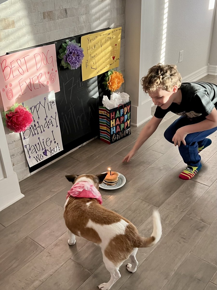 cassiesmith05's tweet image. Happy 17th birthday to the best dog in the world! 🐾 🥳 💕