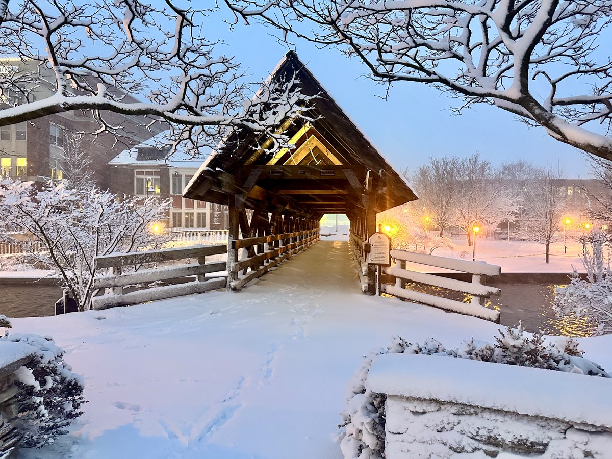 naperchamber tweet media