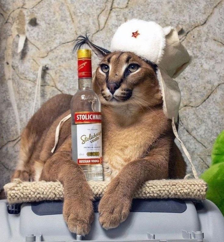 The reversal is programmed. $FLOPPA