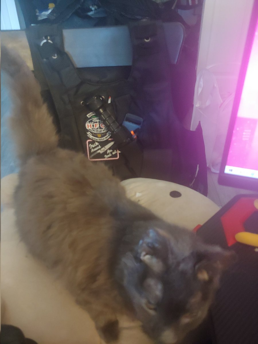 Necroviathan's tweet image. Nightshade is happier today as my streaming Co-pilot chilling on his big willy pillow.
#catcopilot #Vtubers #cultofnightshade #CatsOfTwitter