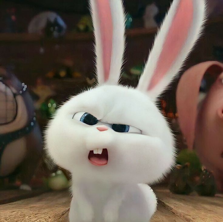 “Aí Heteus, mas se você fosse um animal quem você seria?"  claramente