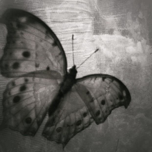 killsath's tweet photo. ͏ ͏ ͏ ͏ ͏ ͏ ͏ ͏ ͏ ͏ ͏͏ ͏ ͏ ͏ ͏ ͏͏͏ ᥆ 𝗊ᥙᥱ é ᥒᥲ᥆-ძᥙᥲᥣіsm᥆ ?
— ͏ძᥱ᥎᥆ ᥆ძіᥲr ᥆ ᥱg᥆? mᥲs 𝗊ᥙᥱm é ᥱg᥆?
thread informativa para #loatwt 🌟 https://t.co/w05B1JkNmM
