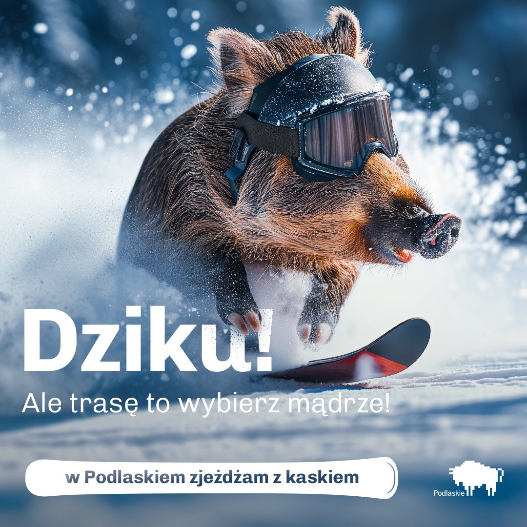 stempniaked's tweet photo. Ta kampania Podlaskiego nie dotarła jeszcze na Twittera. A załuguje na to ;) wszystkie kreacje na profilu FB/Podlaskie. #podlaskie #kampania #socialmedia #reklama #AI https://t.co/6moos8YNdC