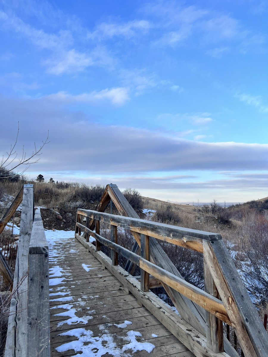 Dave Testa tweet media