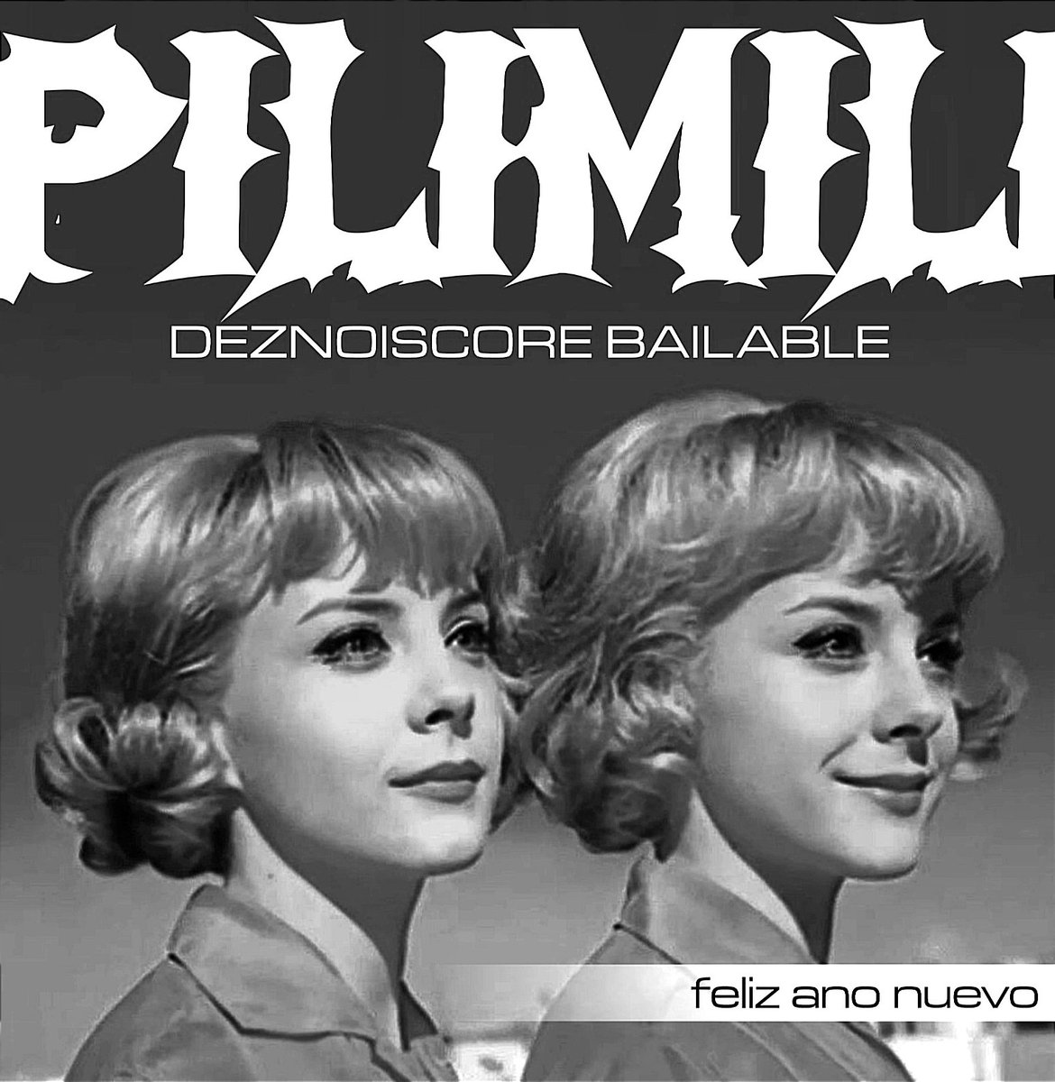 Hoy en "discos que nunca existieron pero deben existir", PILIMILI, feliz ano nuevo. Deznoisecore bailable, oiga. #fake #discos #musica #gilipolleces