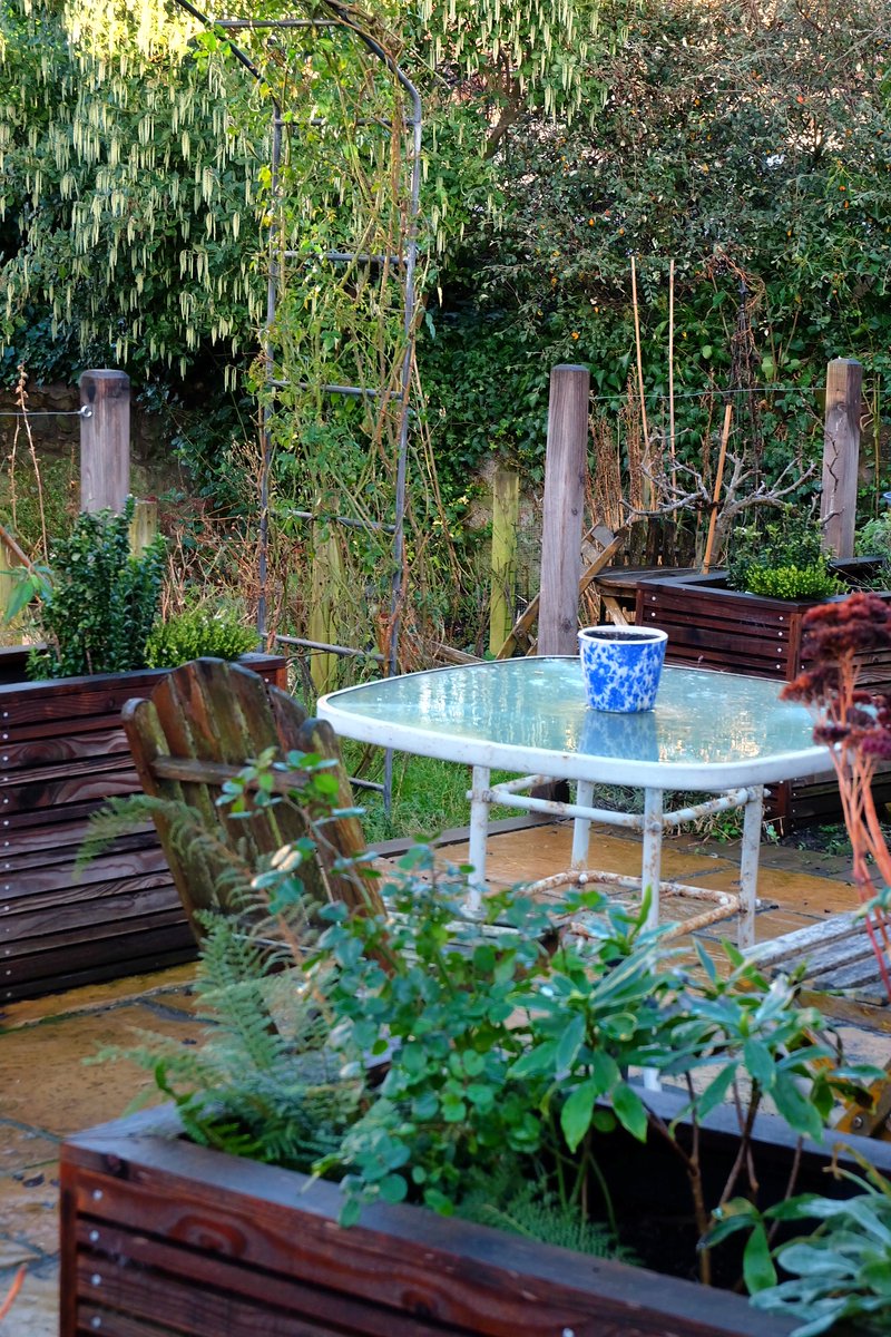 easymulch's tweet photo. The wonders of the winter garden https://t.co/E5ZQ7Vi7Jh https://t.co/KYU16hjSDt