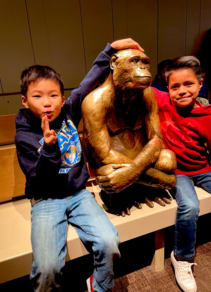 Rozal Ghazanfar (@ghazanfar_rozal) on Twitter photo Our field trip to the Natural History Museum was full of joy, excitement and learning! ✅ <a href="/centreridgees/">Centre Ridge Rams</a> Our field trip to the Natural History Museum was full of joy, excitement and learning! ✅ <a href="/centreridgees/">Centre Ridge Rams</a>